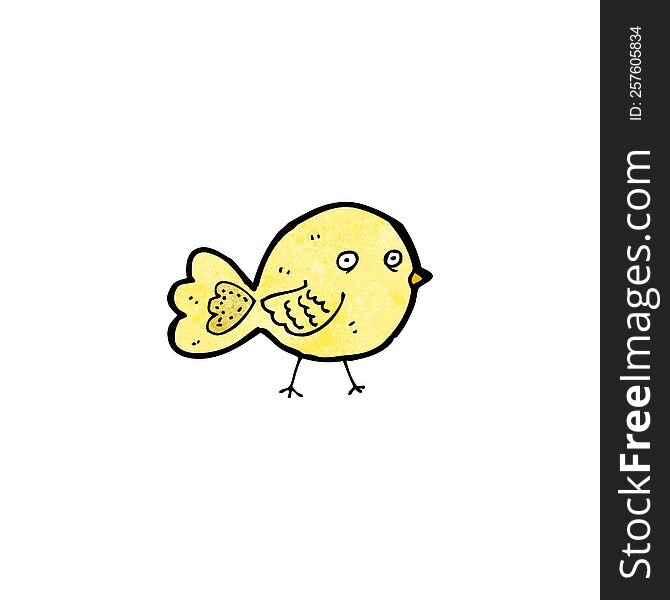 Funny Cartoon Bird