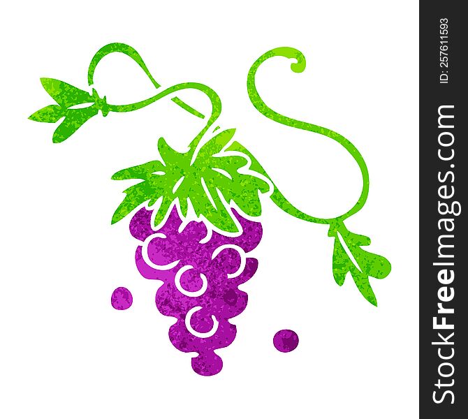 Retro Cartoon Doodle Of Grapes On Vine