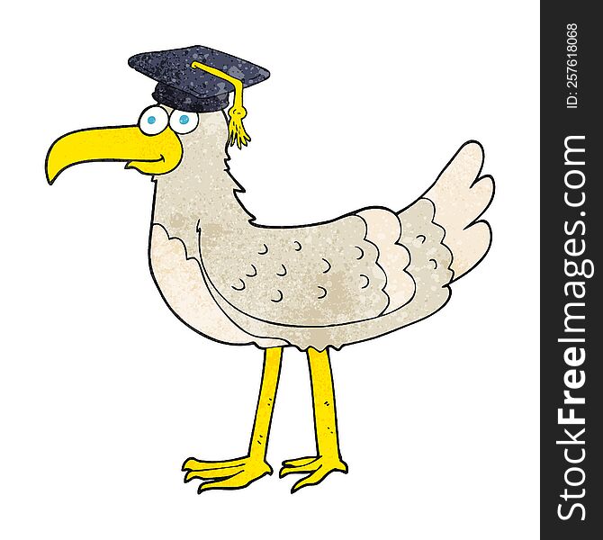 freehand textured cartoon seagull with graduate cap