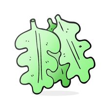 Free Cartoon Oak Leaves Royalty Free Stock Image - 257633646