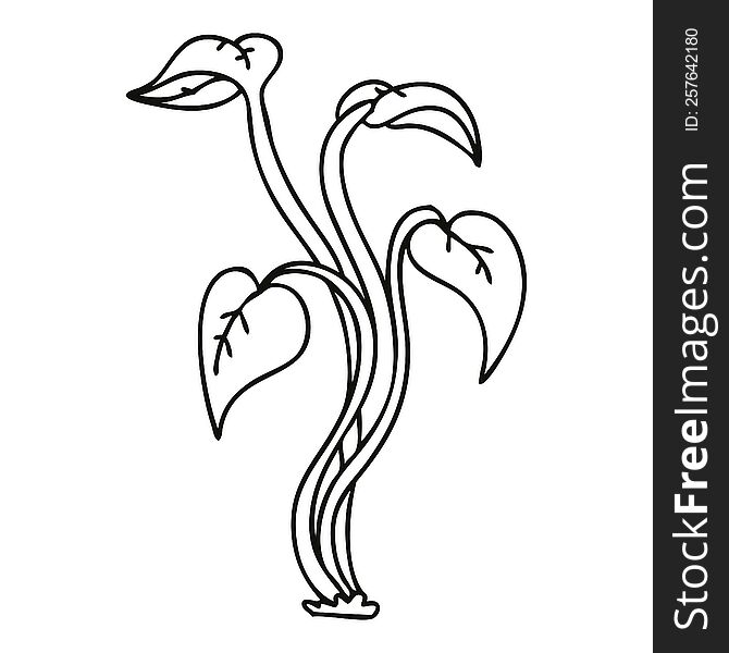 line drawing quirky cartoon plant. line drawing quirky cartoon plant