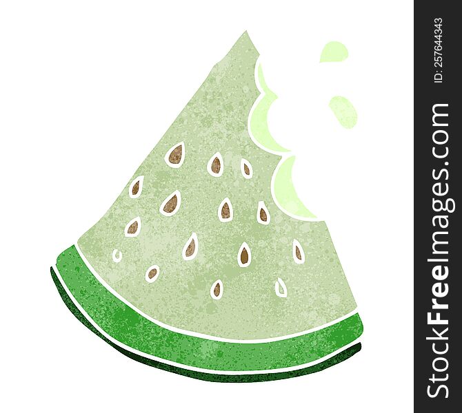 Retro Cartoon Watermelon Slice