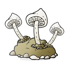 Free Cartoon Mushrooms Growing Royalty Free Stock Images - 257650149