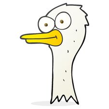 Cartoon Ostrich Head Stock Image
