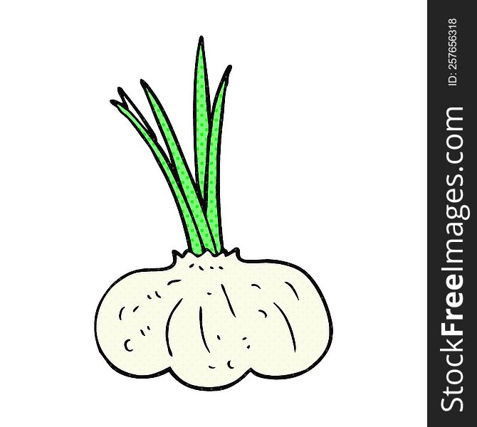freehand drawn cartoon garlic bulb