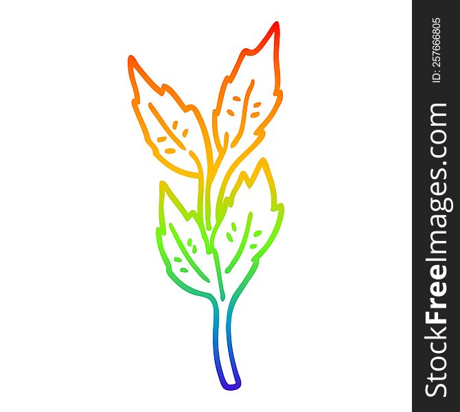 Rainbow Gradient Line Drawing Cartoon Leaves