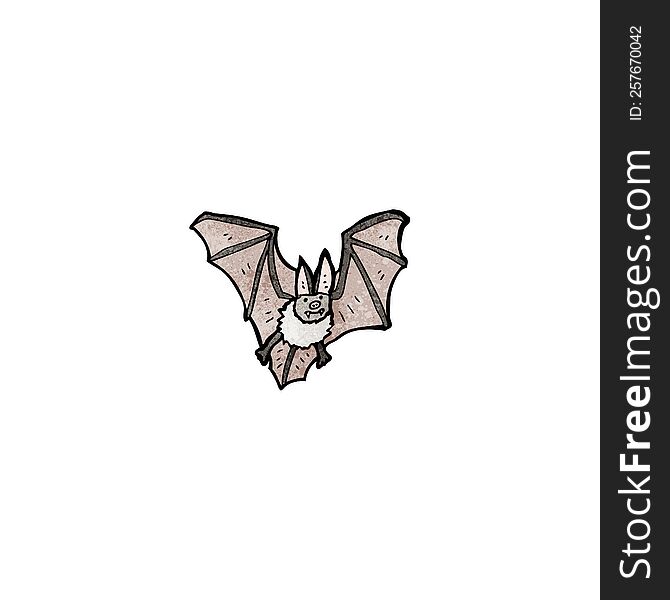 vampire bat illustration