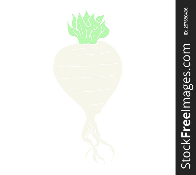 flat color illustration of turnip. flat color illustration of turnip