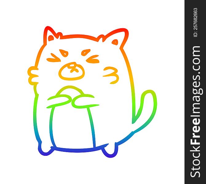 Rainbow Gradient Line Drawing Angry Cat