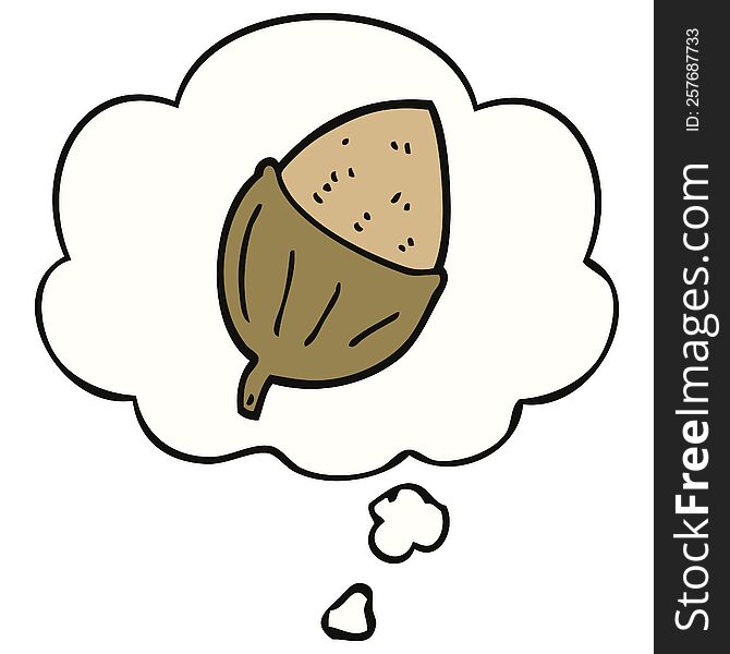 cartoon acorn with thought bubble. cartoon acorn with thought bubble