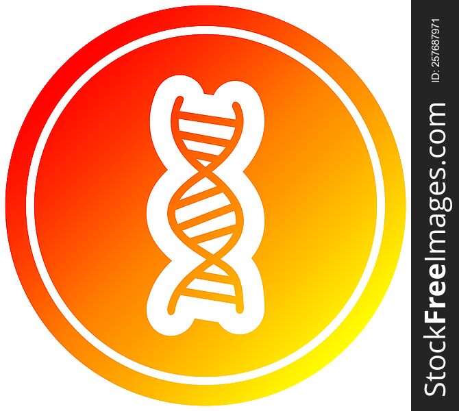 DNA chain circular icon with warm gradient finish. DNA chain circular icon with warm gradient finish