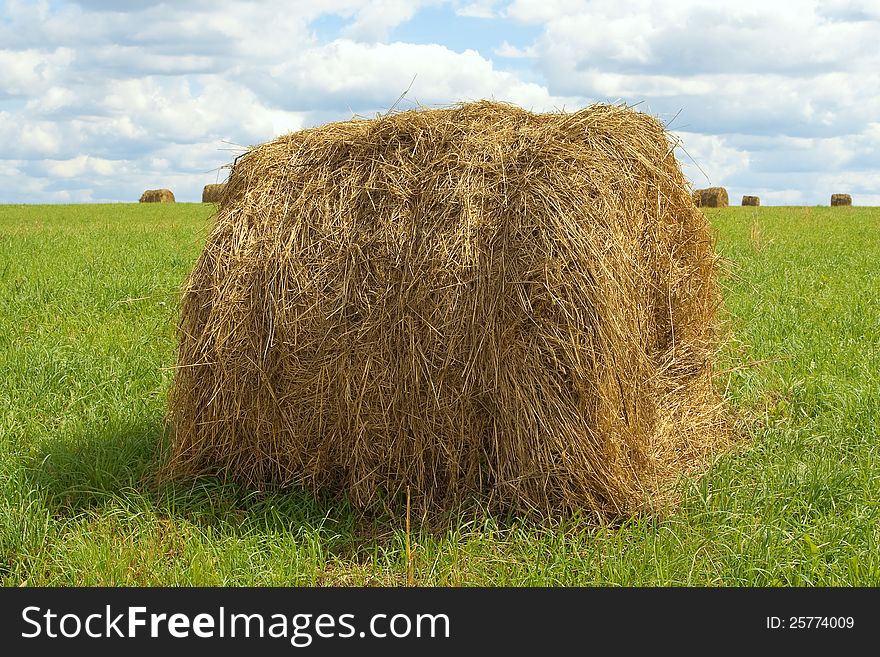 Stack Of Hay Harvested