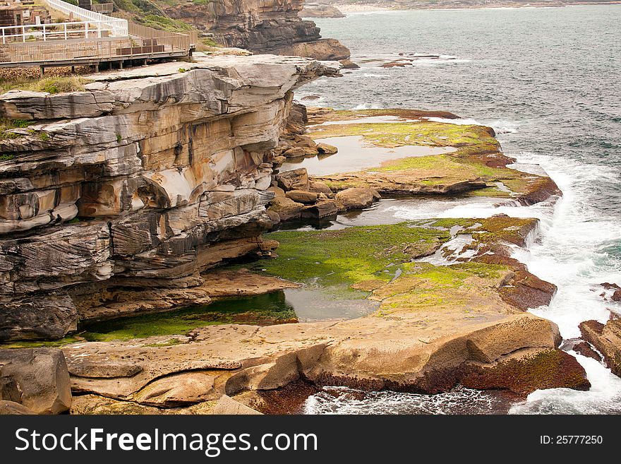 Mossy Coast, Sydney, Australia