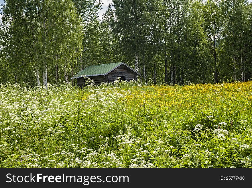 Barn in the Swedish field