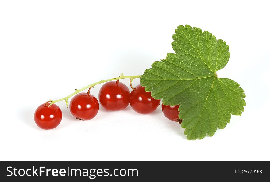 Redcurrants on the withe background