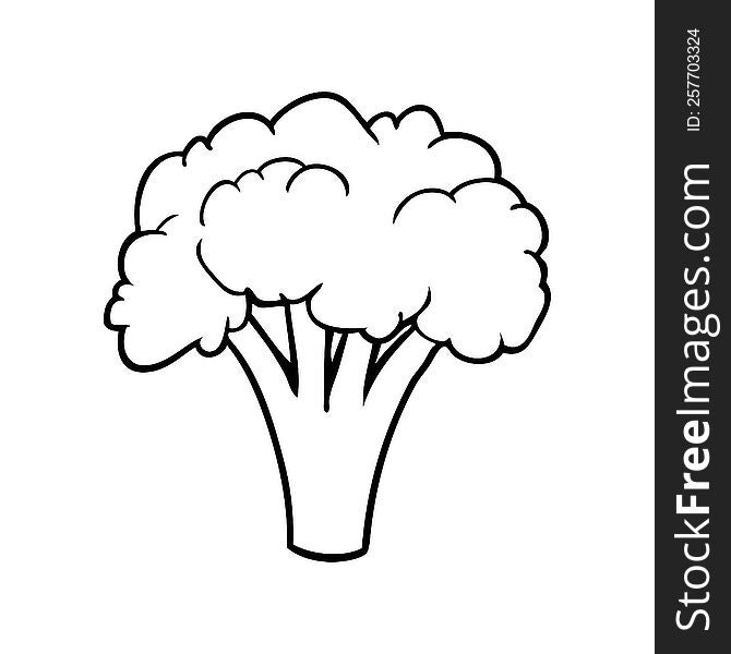 line drawing of a broccoli. line drawing of a broccoli