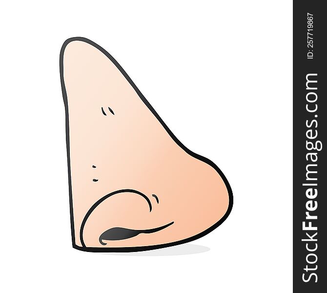 freehand drawn cartoon human nose