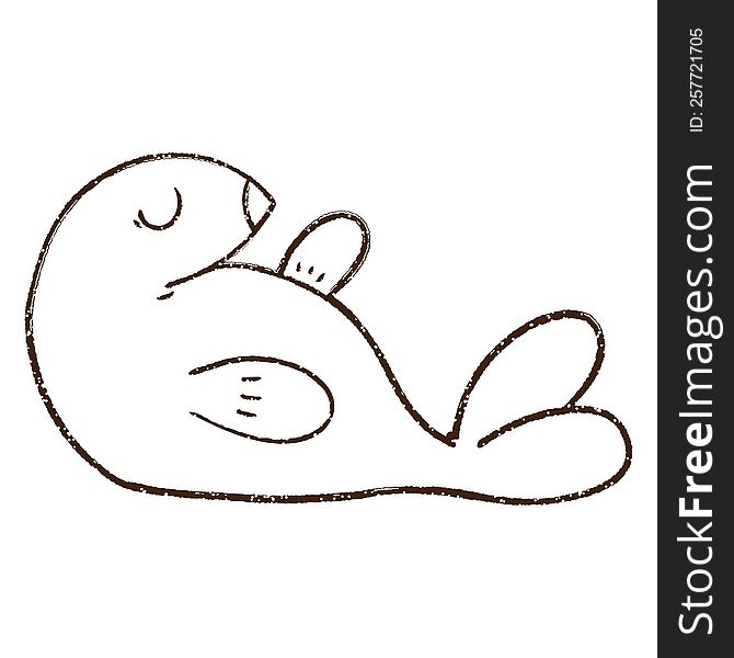 Seal Charcoal Drawing
