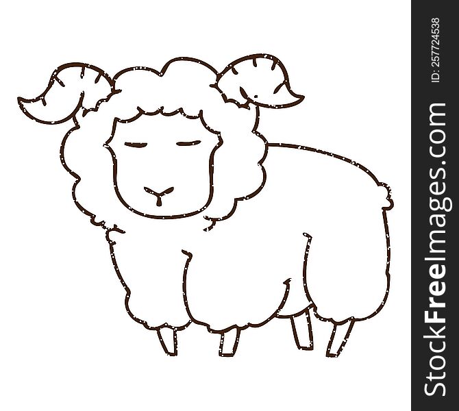 Sheep Charcoal Drawing