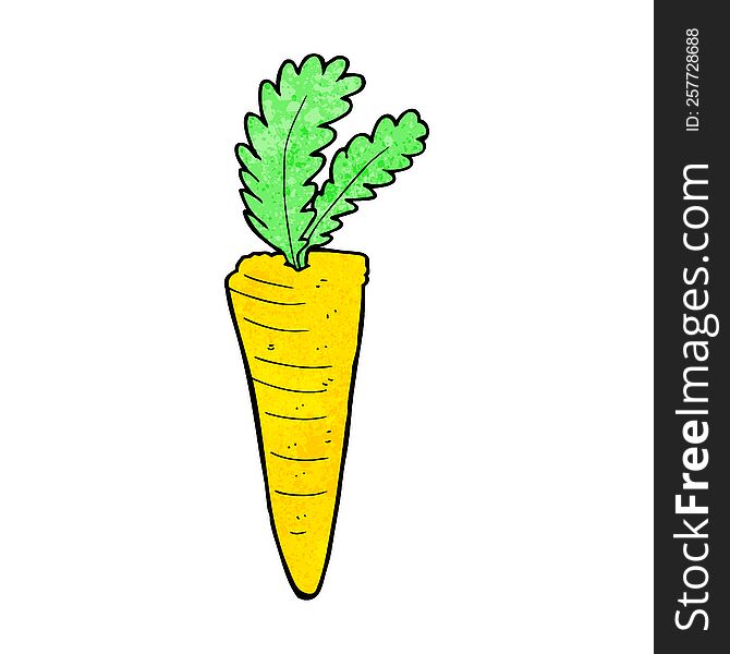 Cartoon Carrot