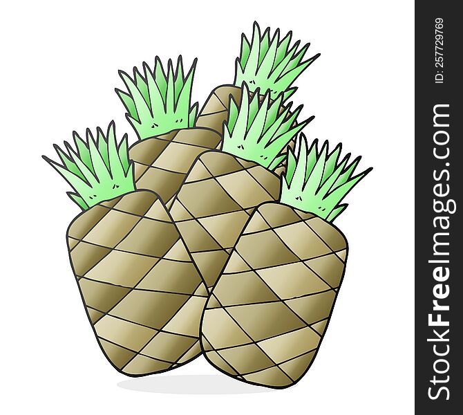 freehand drawn cartoon pineapples