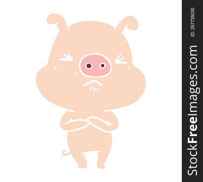 Flat Color Style Cartoon Angry Pig