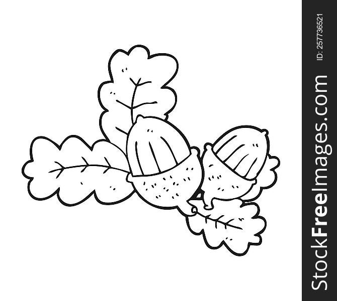 black and white cartoon acorns and leaves