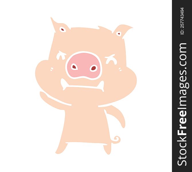Angry Flat Color Style Cartoon Pig