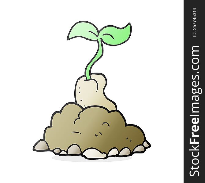 cartoon sprouting seed