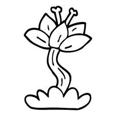 Line Drawing Cartoon Lilly Flower Royalty Free Stock Image