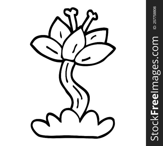 line drawing cartoon lilly flower