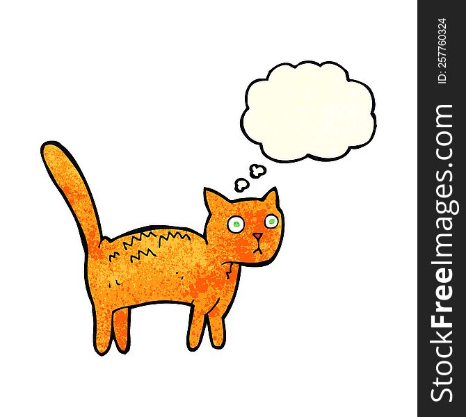 Cartoon Frightened Cat With Thought Bubble