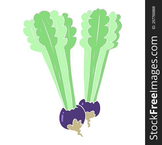 flat color style cartoon beetroots