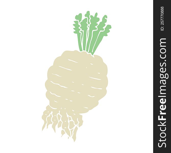 flat color illustration of turnip. flat color illustration of turnip