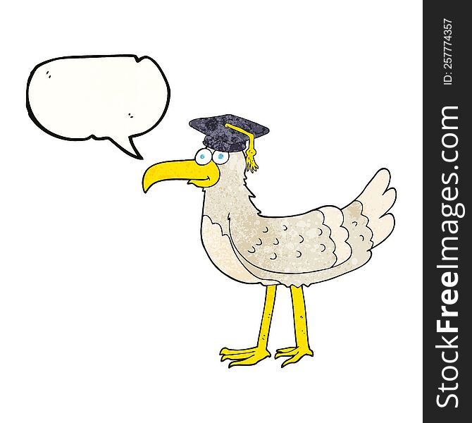 freehand speech bubble textured cartoon seagull with graduate cap