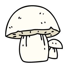 Wild Mushroom Royalty Free Stock Image