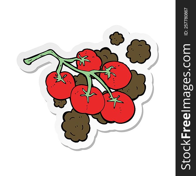 Sticker Of A Green Tomatoes On Vine Illustration