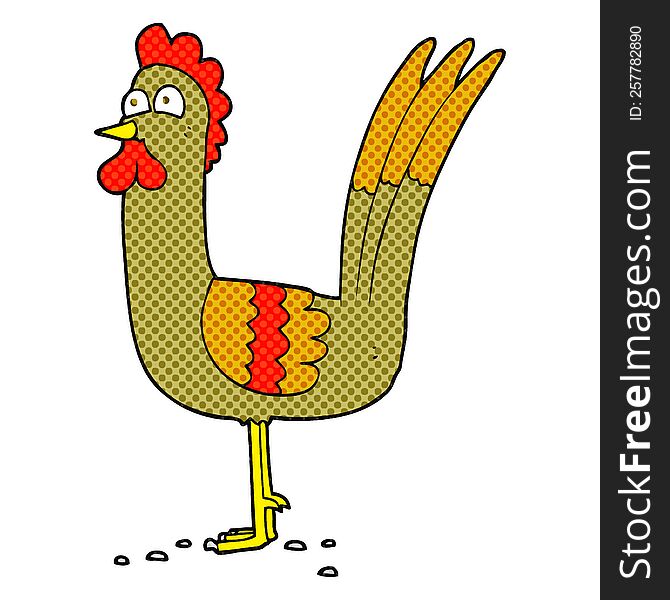 Cartoon Chicken