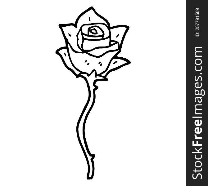 line drawing cartoon white rose