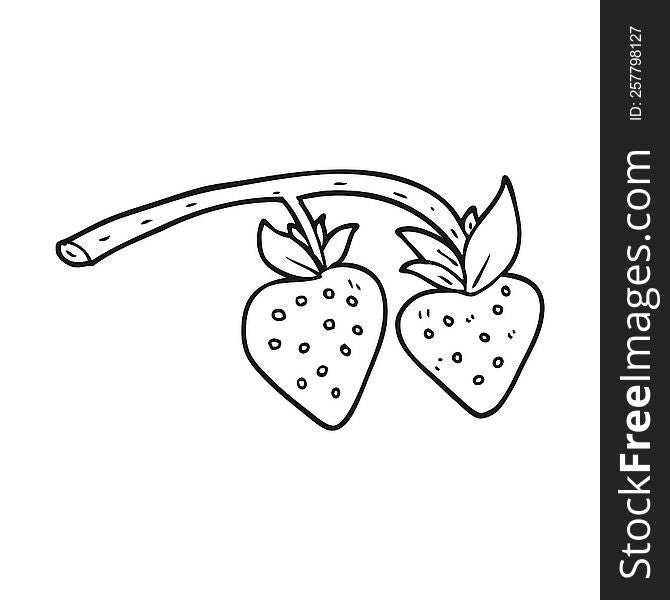 freehand drawn black and white cartoon strawberries