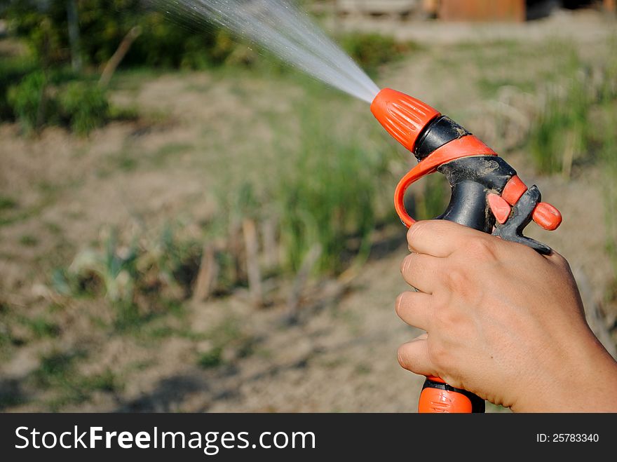 Hand with a water gun in the garden