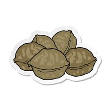 Premium Vector | Hand drawn walnut in sketch style illustration