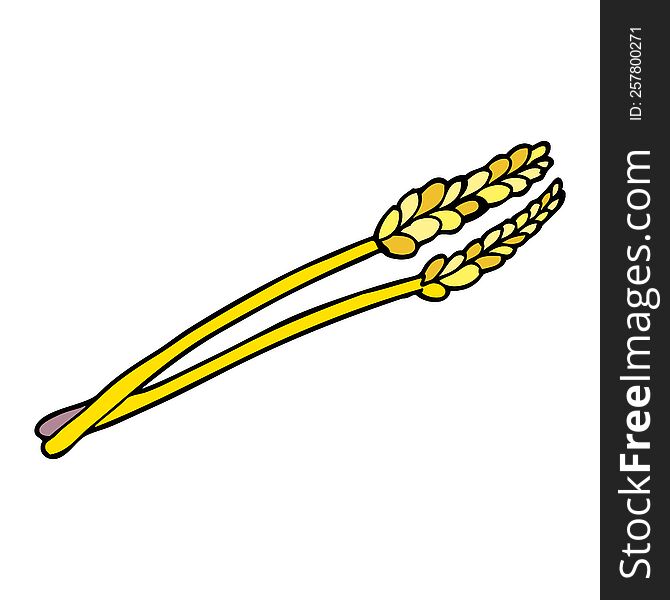 cartoon doodle wheat