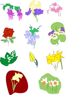 Flowers: Pansy Narcissus Orchid Iris Fuchsia Rose Stock Photography Flowers: Pansy Narcissus Orchid Iris Fuchsia Rose Stock Photography