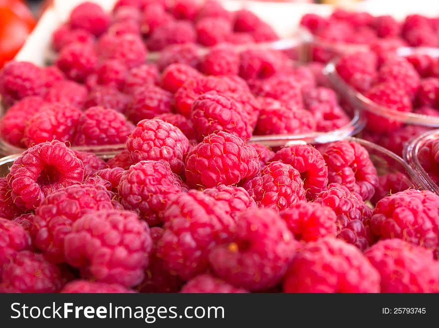 Organic Berry - Raspberry