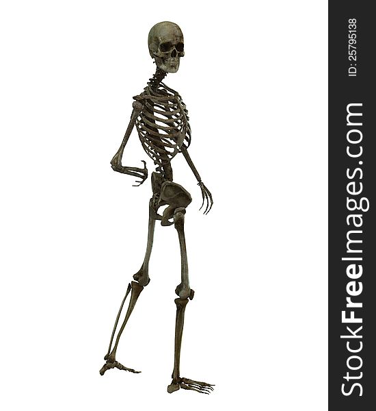 A skeleton in a pose. A skeleton in a pose