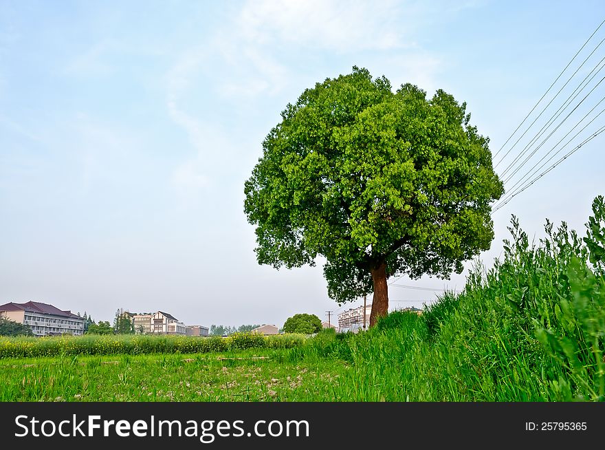 Hangzhou rural green natural ecological environment. Hangzhou rural green natural ecological environment