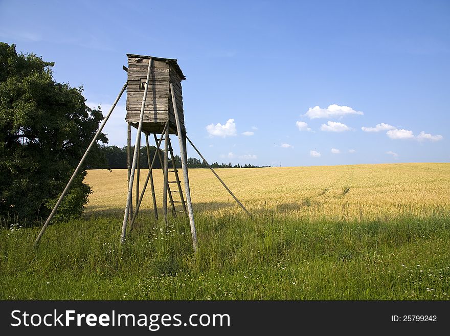 Wooden shed on the field, yellow fields of grain. Wooden shed on the field, yellow fields of grain