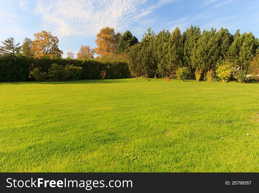 Perfect green grass lawn below blue skies. Perfect green grass lawn below blue skies