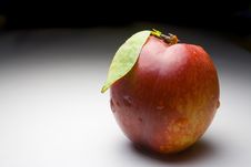 Nectarine Royalty Free Stock Photos Nectarine Royalty Free Stock Photos